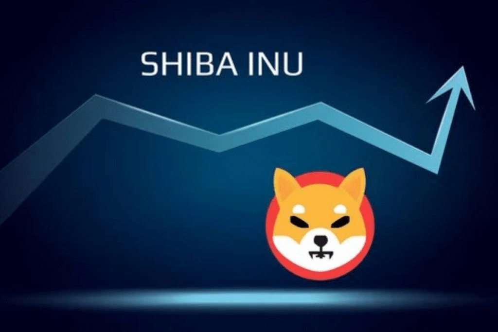 Shiba Inu