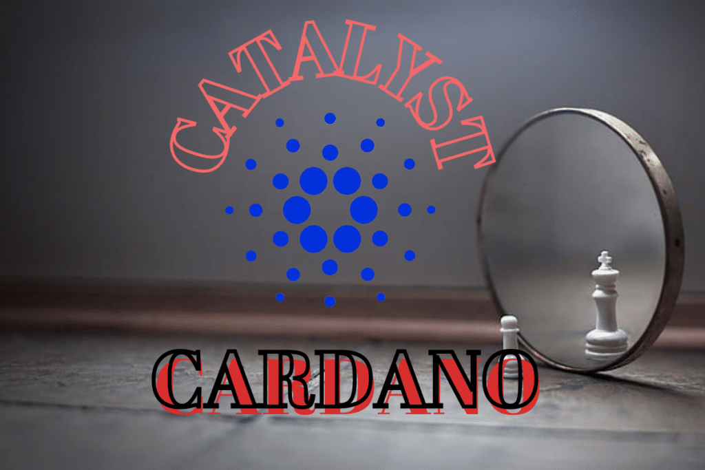 Cardano Catalyst