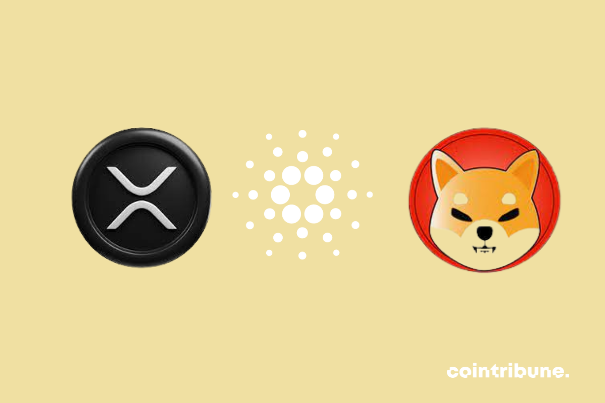 Les logos du XRP, ADA et SHIB