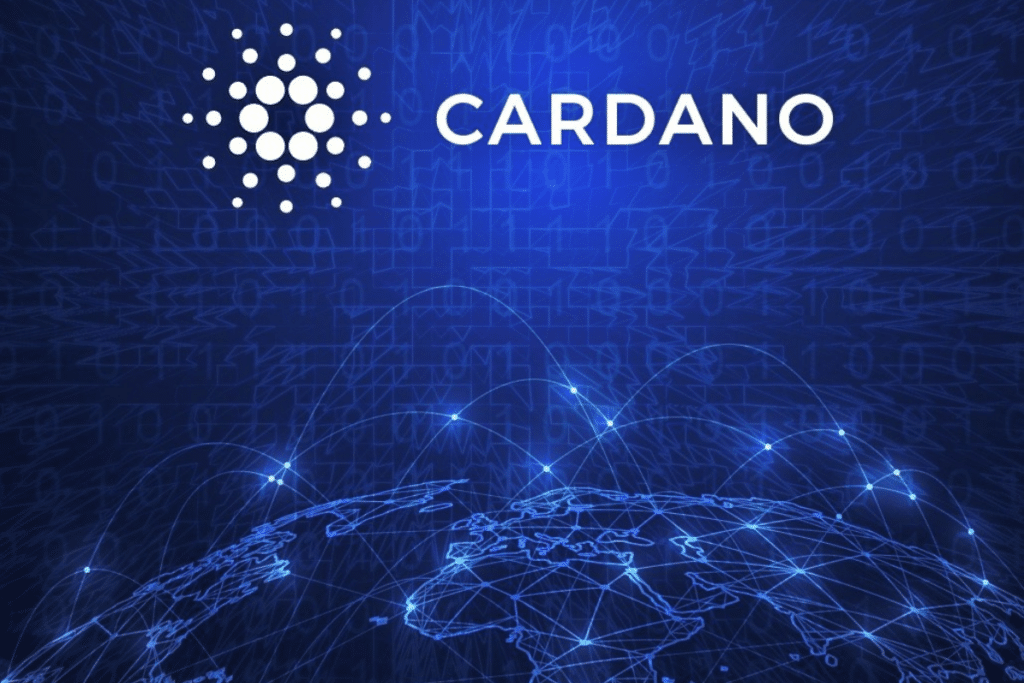 L adoption de Cardano est en hausse aux USA