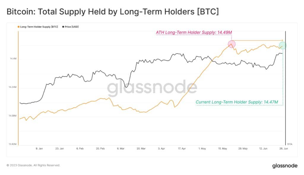 Bitcoin hodlers