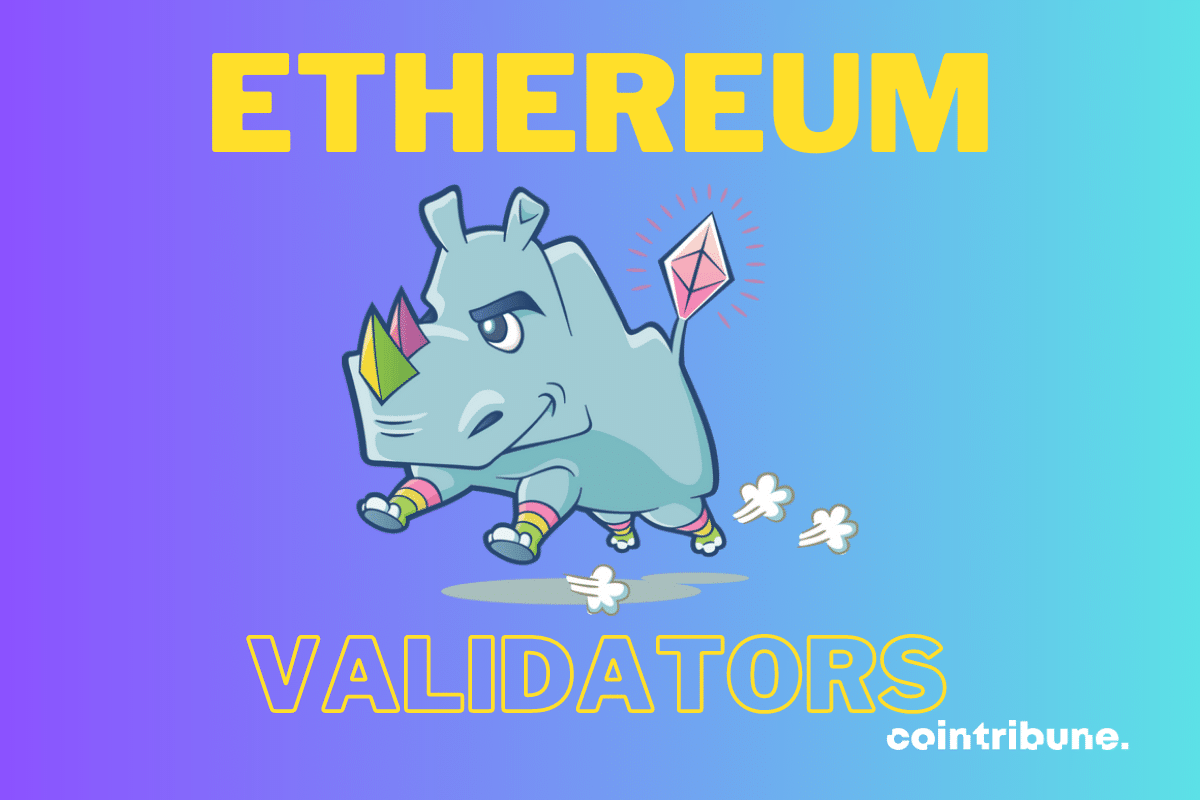 Photo de rhinocéros avec mention Ethereum Validators