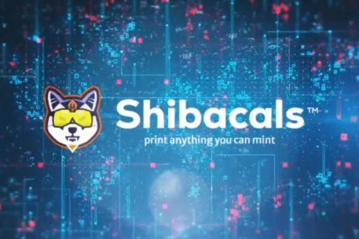 Présentation Shibacals de Shiba Inu