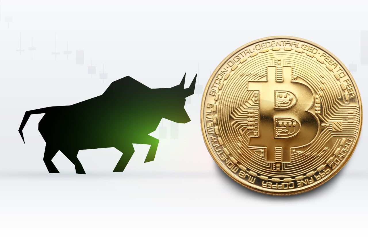 Bitcoin bull-run
