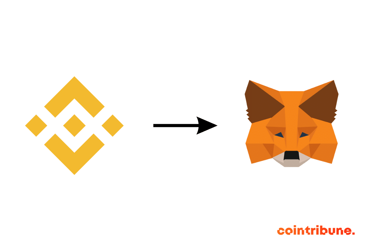 Transfert de cryptos de Binance à metamask