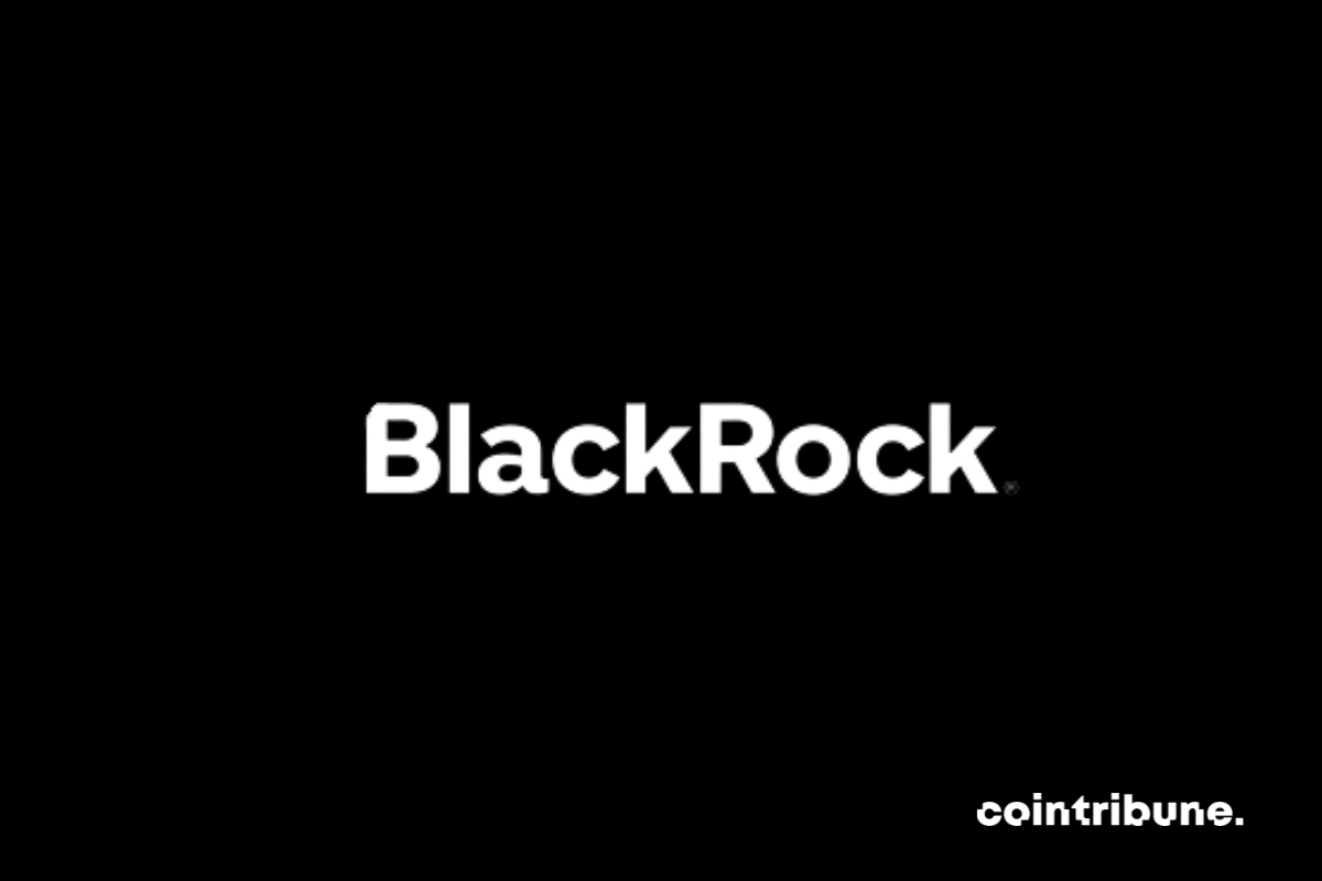 The blackrock logo