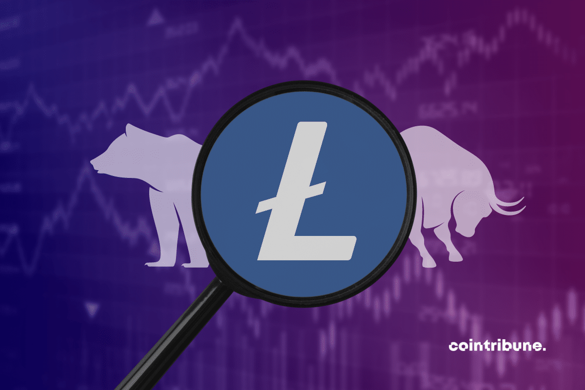 Logo Litecoin zoomed by a magnifying glass with a graphic, a bear and a bull.