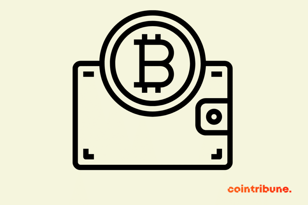 Un pictogramme représentant un wallet Bitcoin