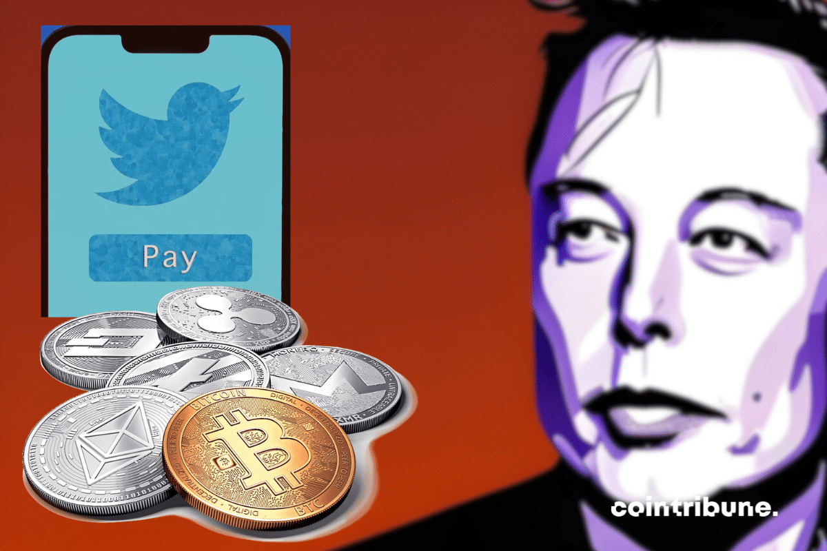 Photo d'Elon Musk avec le logo de Twitter Payments et pièces de cryptomonnaies