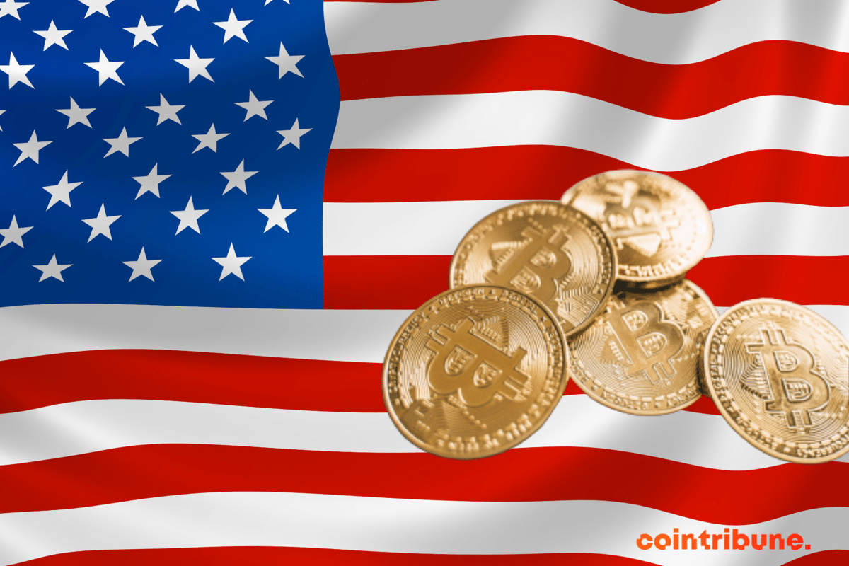 Un drapeau US avec des pièces de bitcoins
