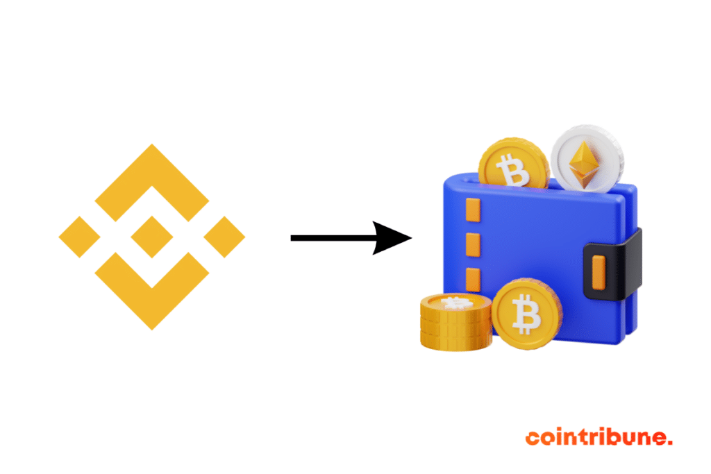 Transfert de cryptos de binance vers un wallet