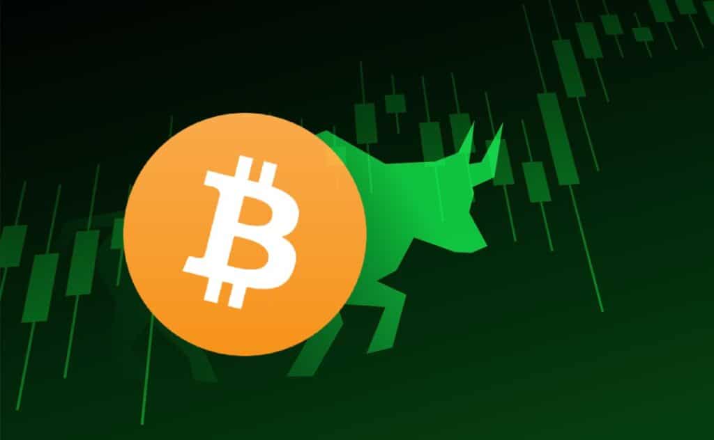 Bitcoin bull-market