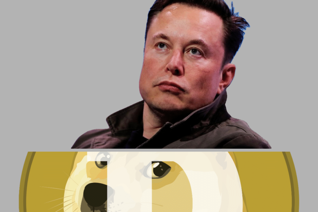 A photo of Elon musk with the dogecoin logo
