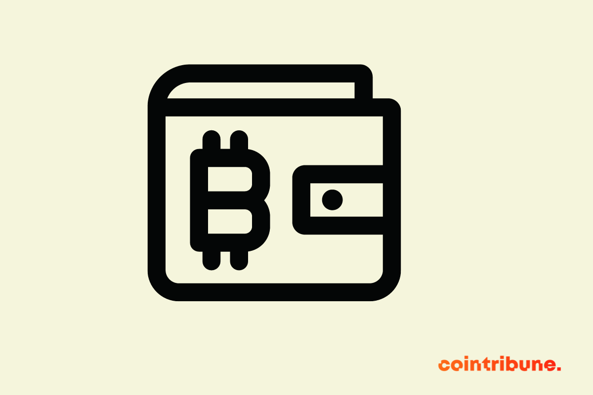 A pictogram representing a Bitcoin wallet