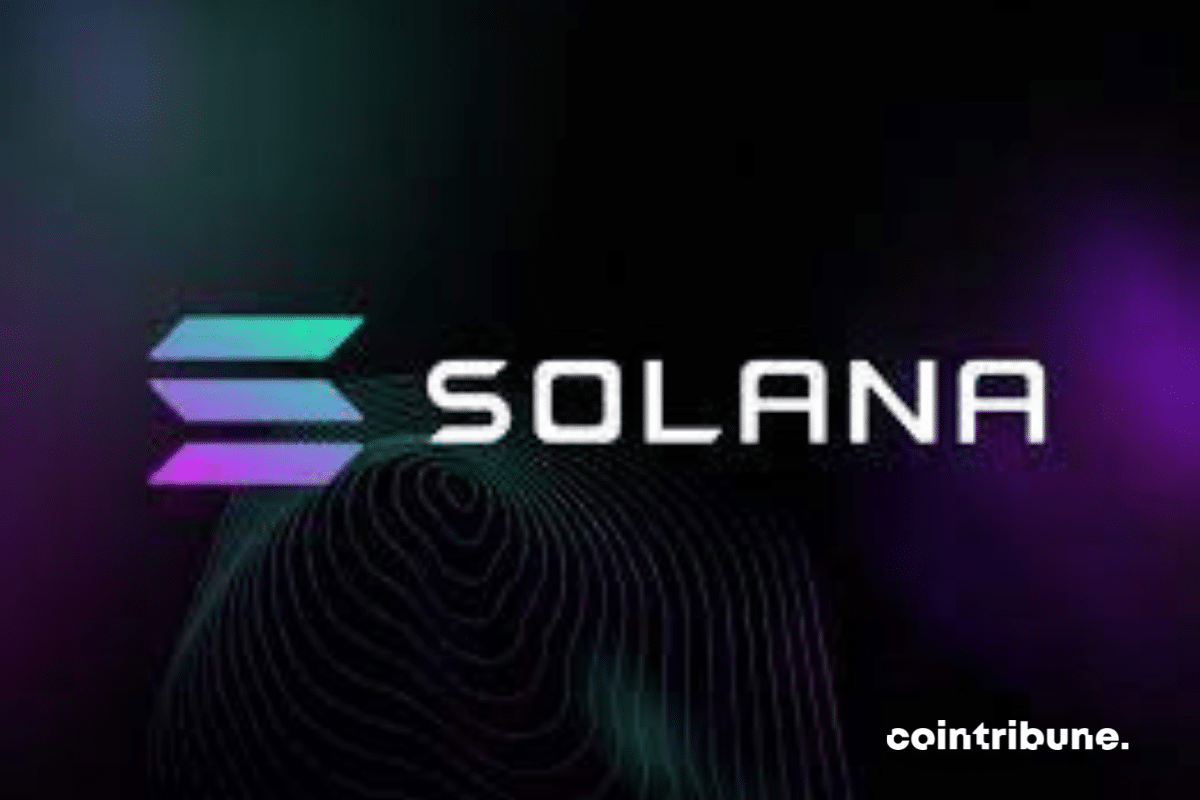 Solana Labs annonce le lancement de Solang