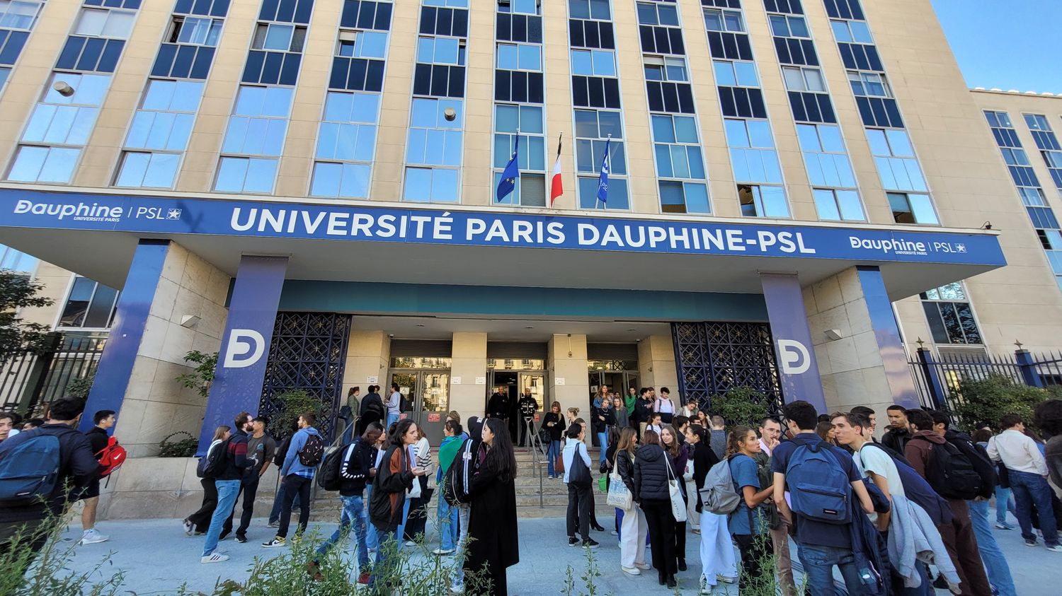 université paris dauphine diplôme nft