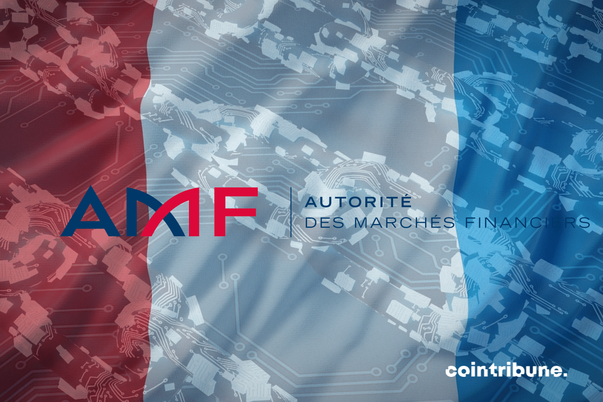 Drapeau France et logo AMF