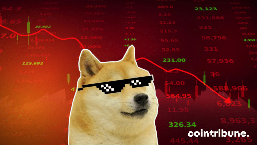 dogecoin crypto chute