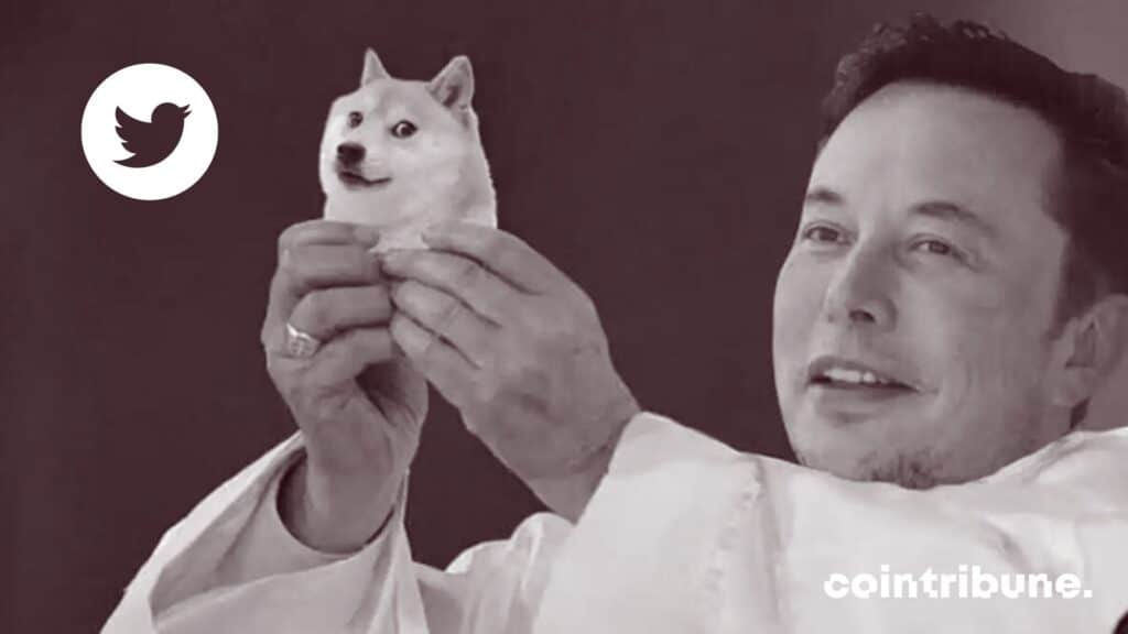 dogecoin elon musk tweet twitter