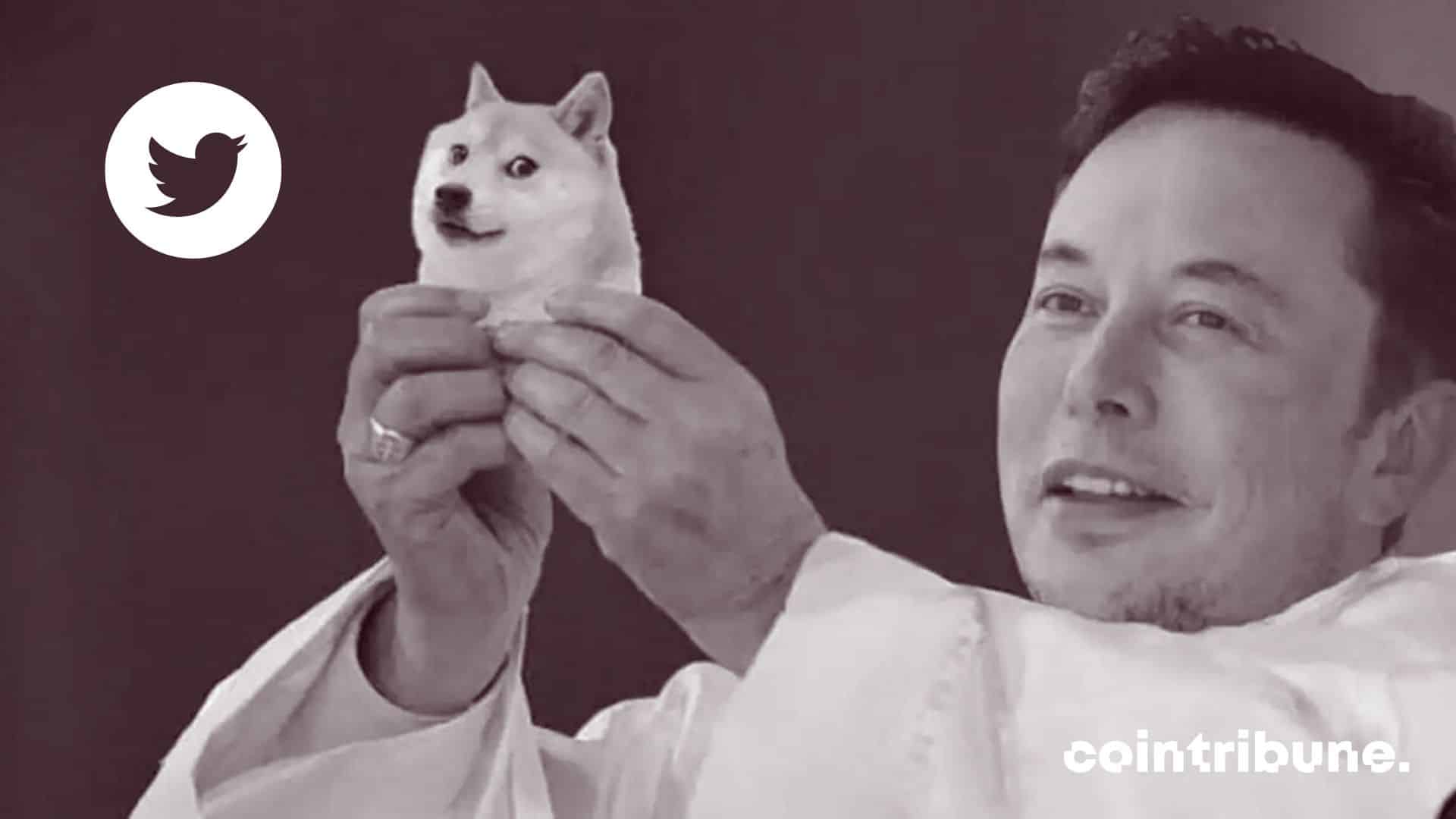 Elon Musk holding a shiba Inu