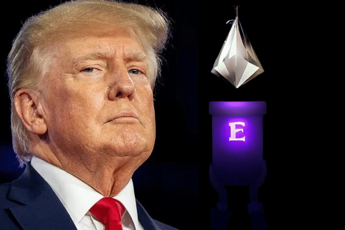 Donald trump : Mystère, Ethereum, Révélation.