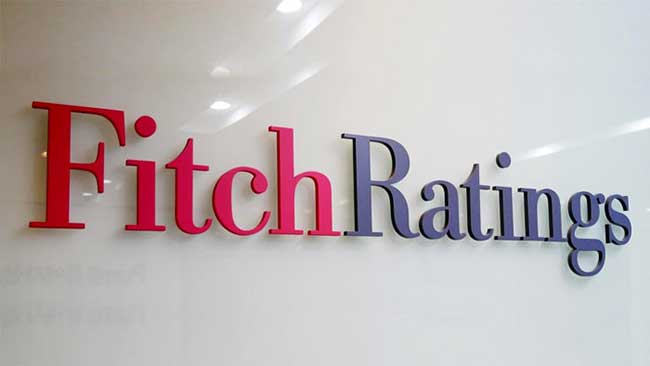 Fitch rates