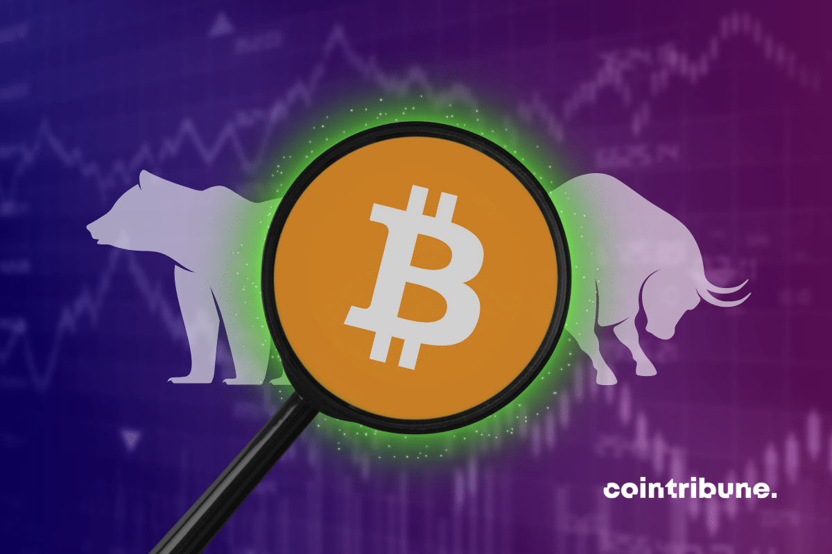 Bitcoin logo framed by a magnifying glass with a full-color graphic in the background, along with a bull and a white bear.