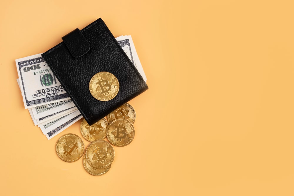 Wallet crypto sécurisé