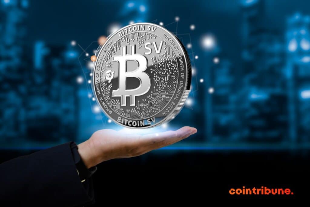 A piece of Bitcoin SV in one hand