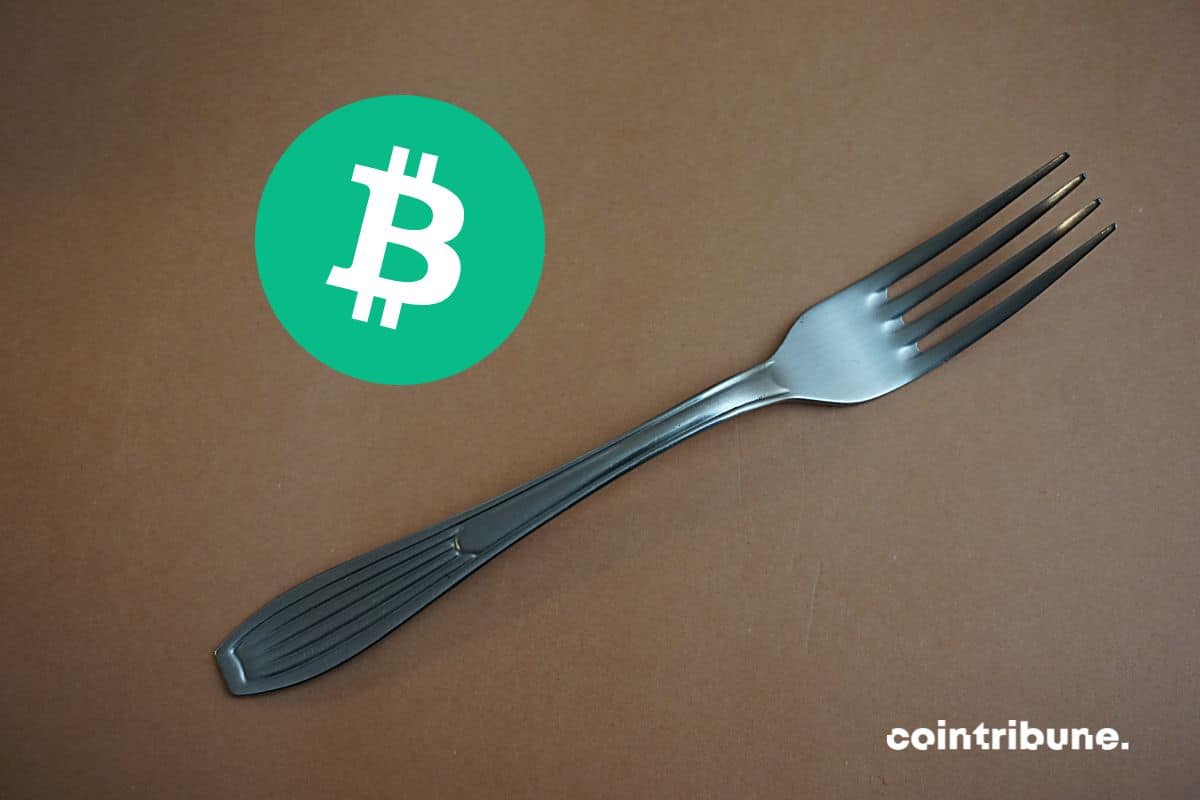 Une fourchette avec le logo Bitcoin Cash sur fond marron