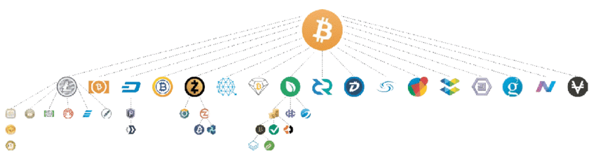 Arbre des principaux forks du Bitcoin