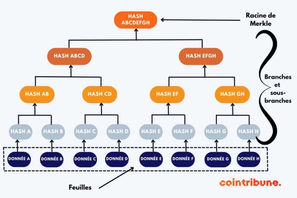 Exemple d'arbre de Merkle