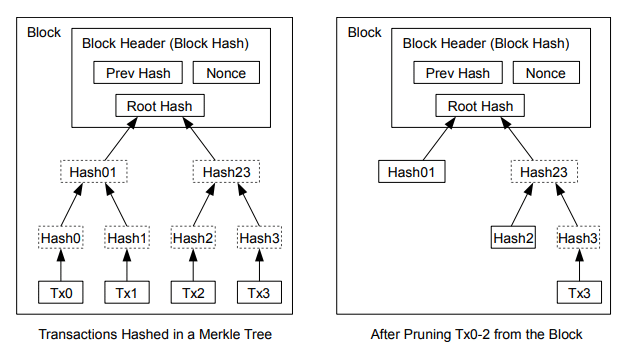 Illustration de la structure interne des blocs Bitcoin