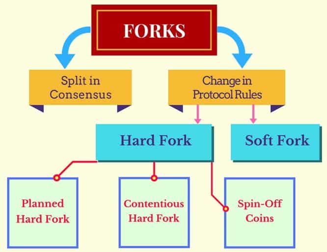 The different types of forks