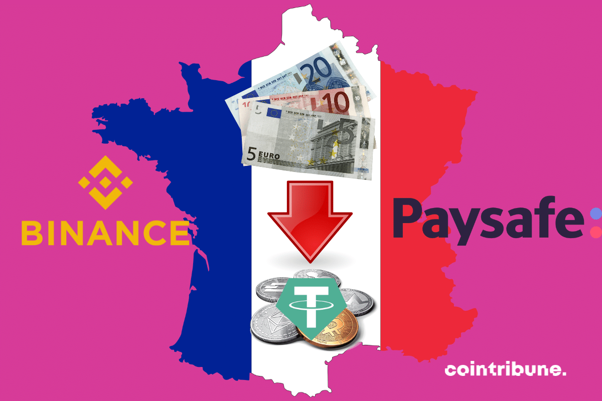 Logos de Binance, Paysafe et Tether, billets d'euro et pièces de cryptomonnaies, carte de la France