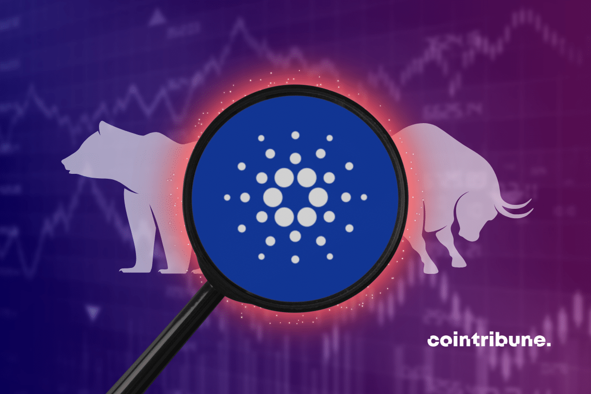 Cardano logo framed by a magnifying glass with a colored graphic in the background and a bull and a white bear.