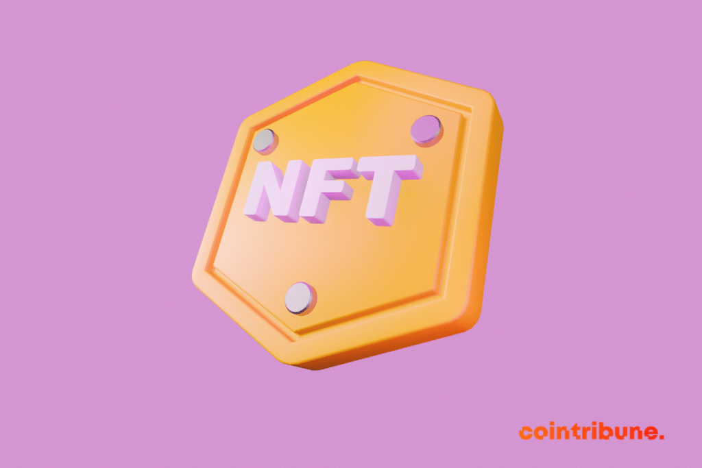 Représentation d'un NFT, à ne pas confodre ave une crypto