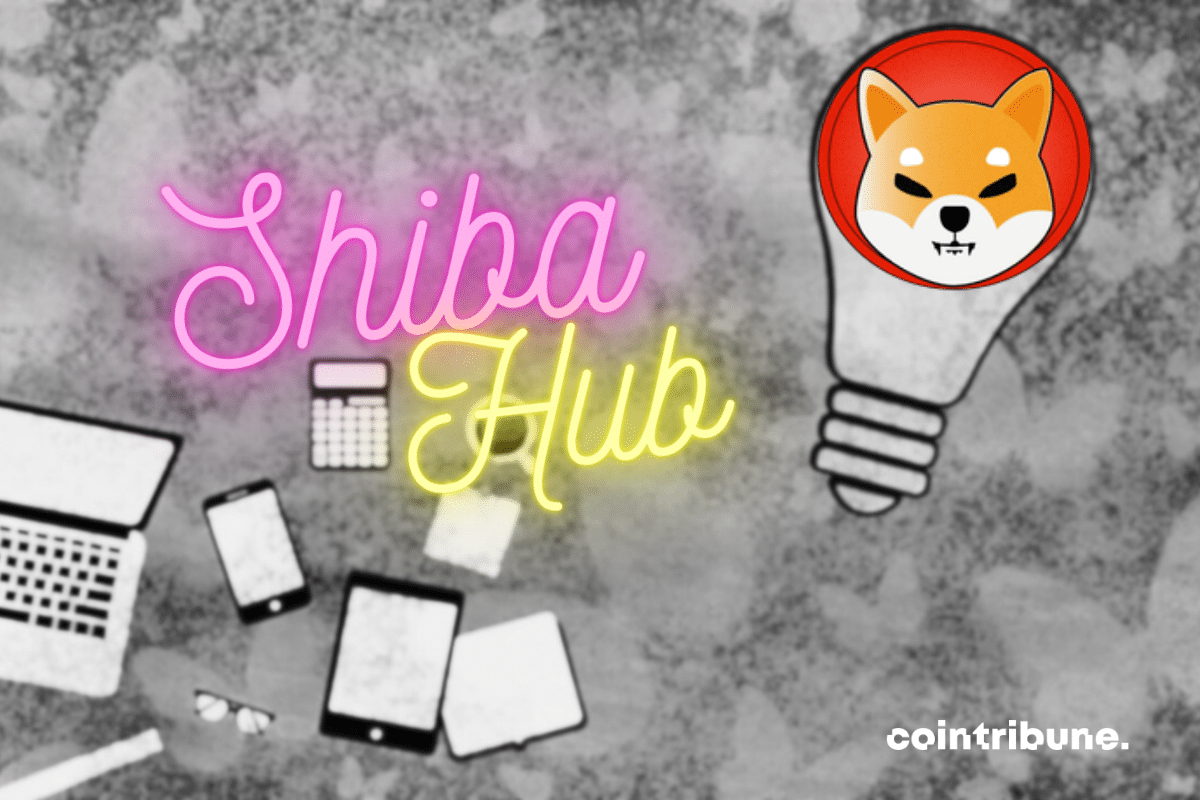 Vecteur de projet, logo de Shiba Inu et mention "Shiba Hub"