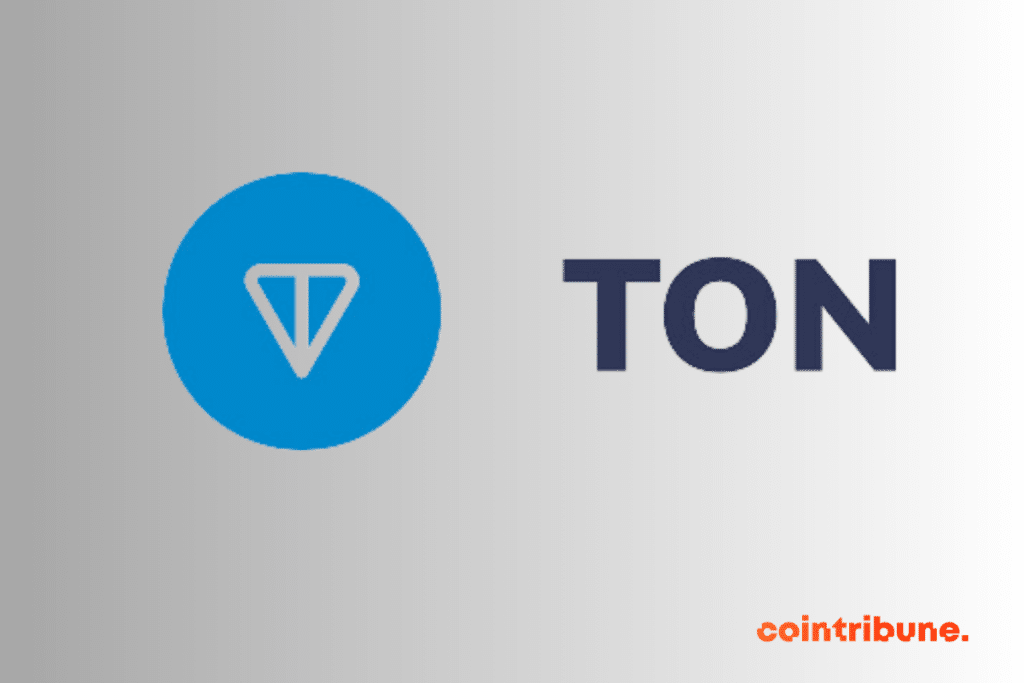 Logo de TON, la blockchain sur laquelle est basée la crypto Toncoin