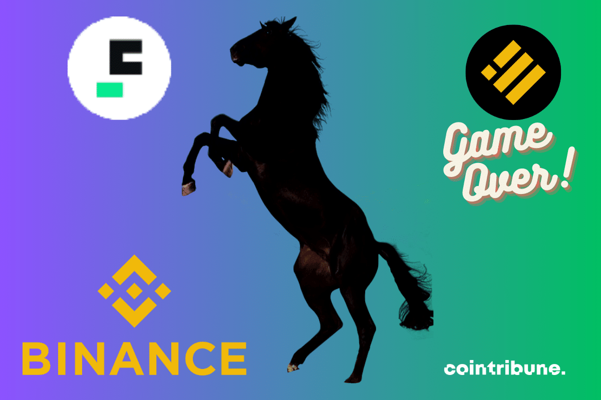 Photo d'un jeune étalon, logos de Binance, du BUSD et du FDUSD, et mention "Game Over"