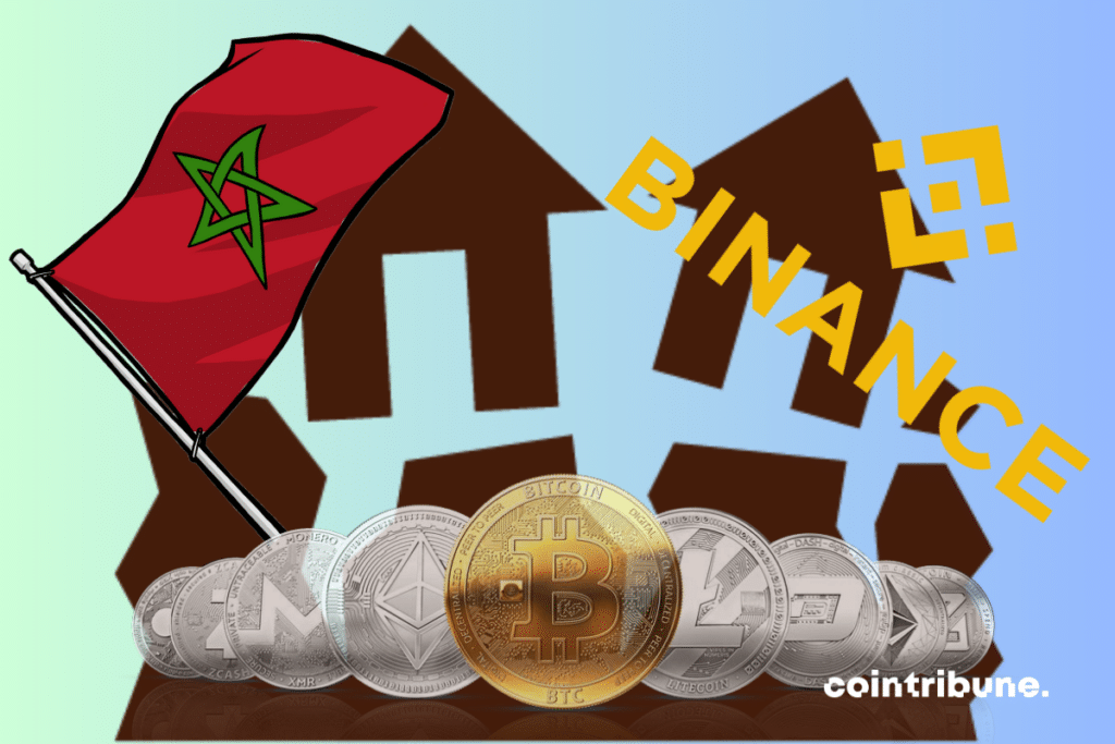 Vecteur de séisme, drapeau du Maroc, logo de Binance et pièces de cryptomonnaies