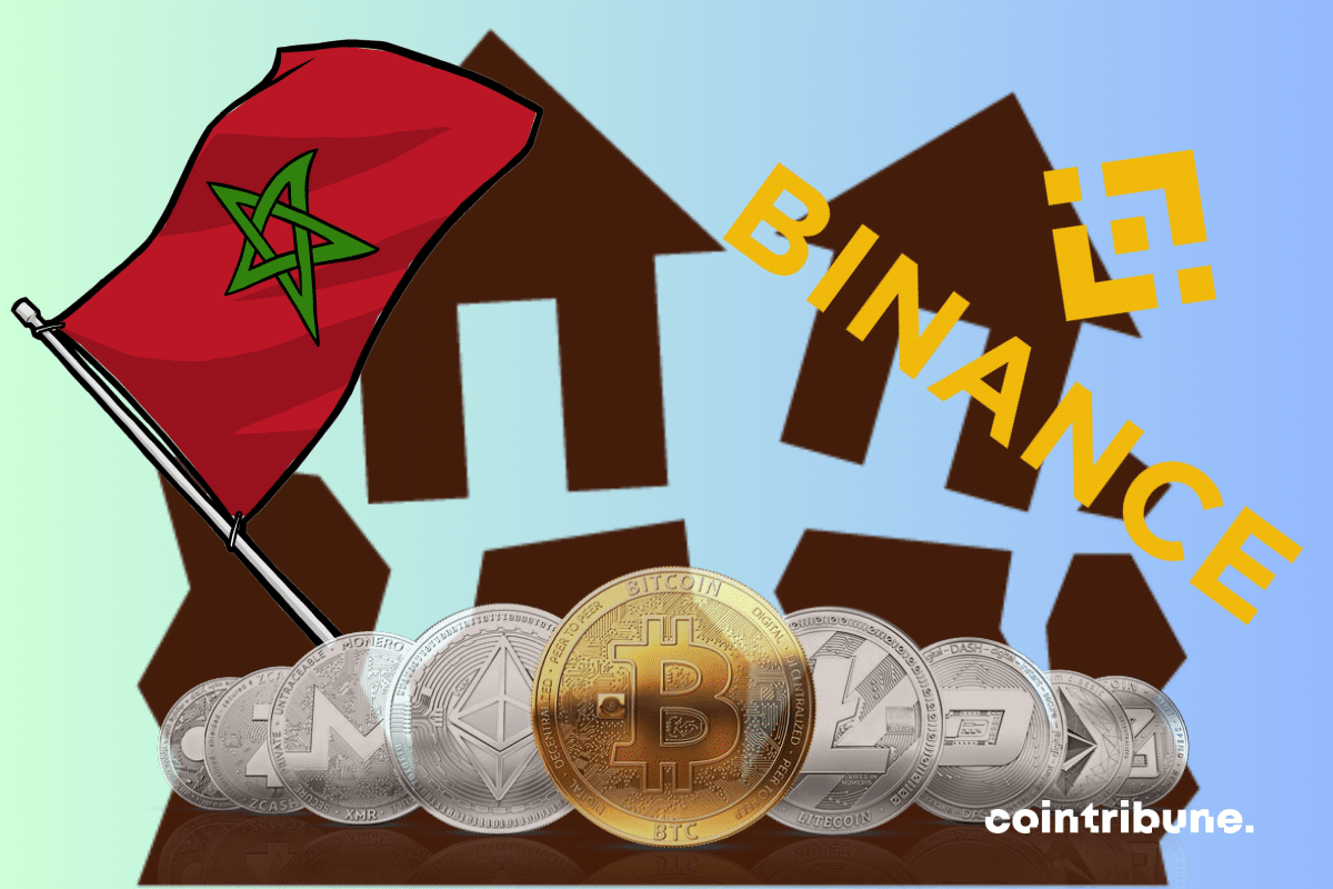 Vecteur de séisme, drapeau du Maroc, logo de Binance et pièces de cryptomonnaies