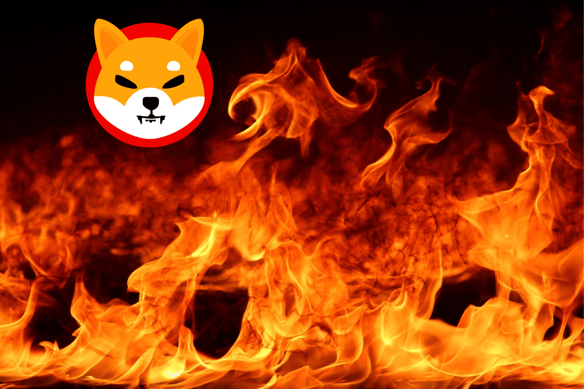 New data on the burn rate of the Shiba Inu crypto (SHIB).