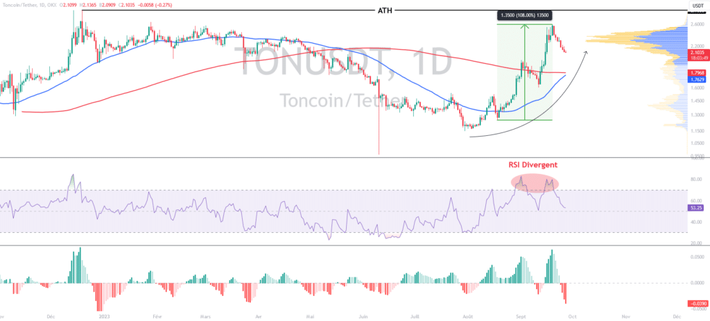 Graphique de prix du TON/USD en journalier