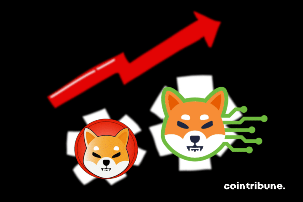 Vecteur de développement, logos de Shiba Inu et du Shibarium