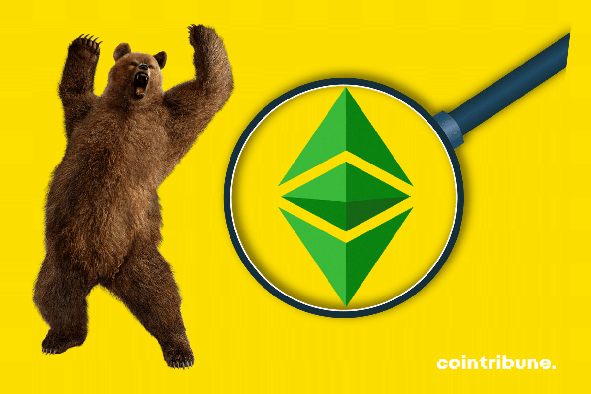 Photos d'ours et de loupe, logo d'Ethereum