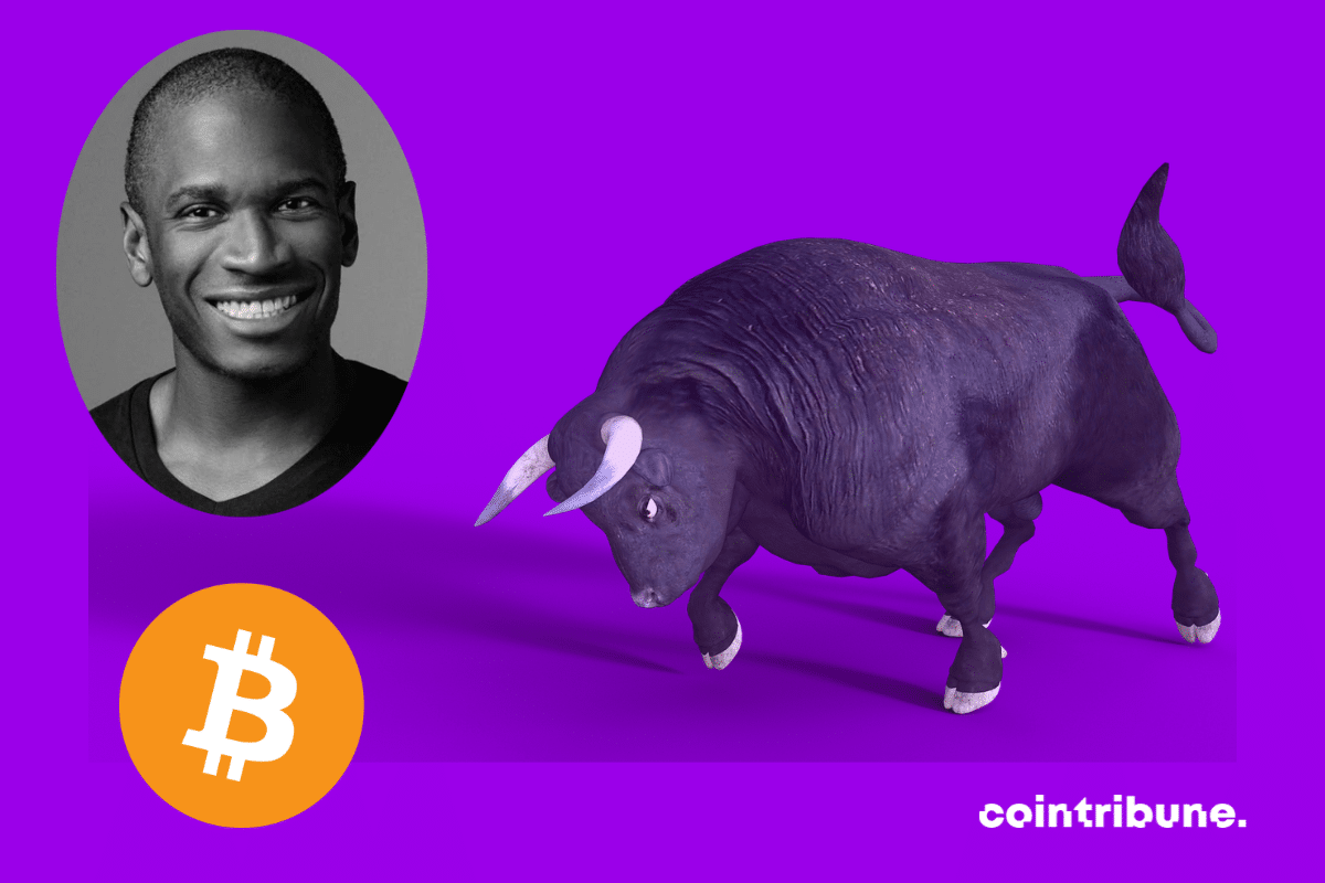Photo d'un bull, portrait d'Arthur Hayes et logo de bitcoin