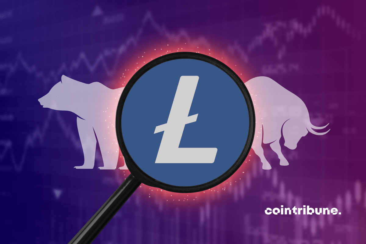 Logo Litecoin encadré par une loupe avec en fond un graphique en couleur ainsi qu’un taureau et un ours blanc