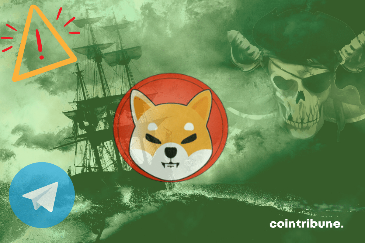 Logos de Shiba Inu et de Telegram, vecteur alerte, bateau pirate