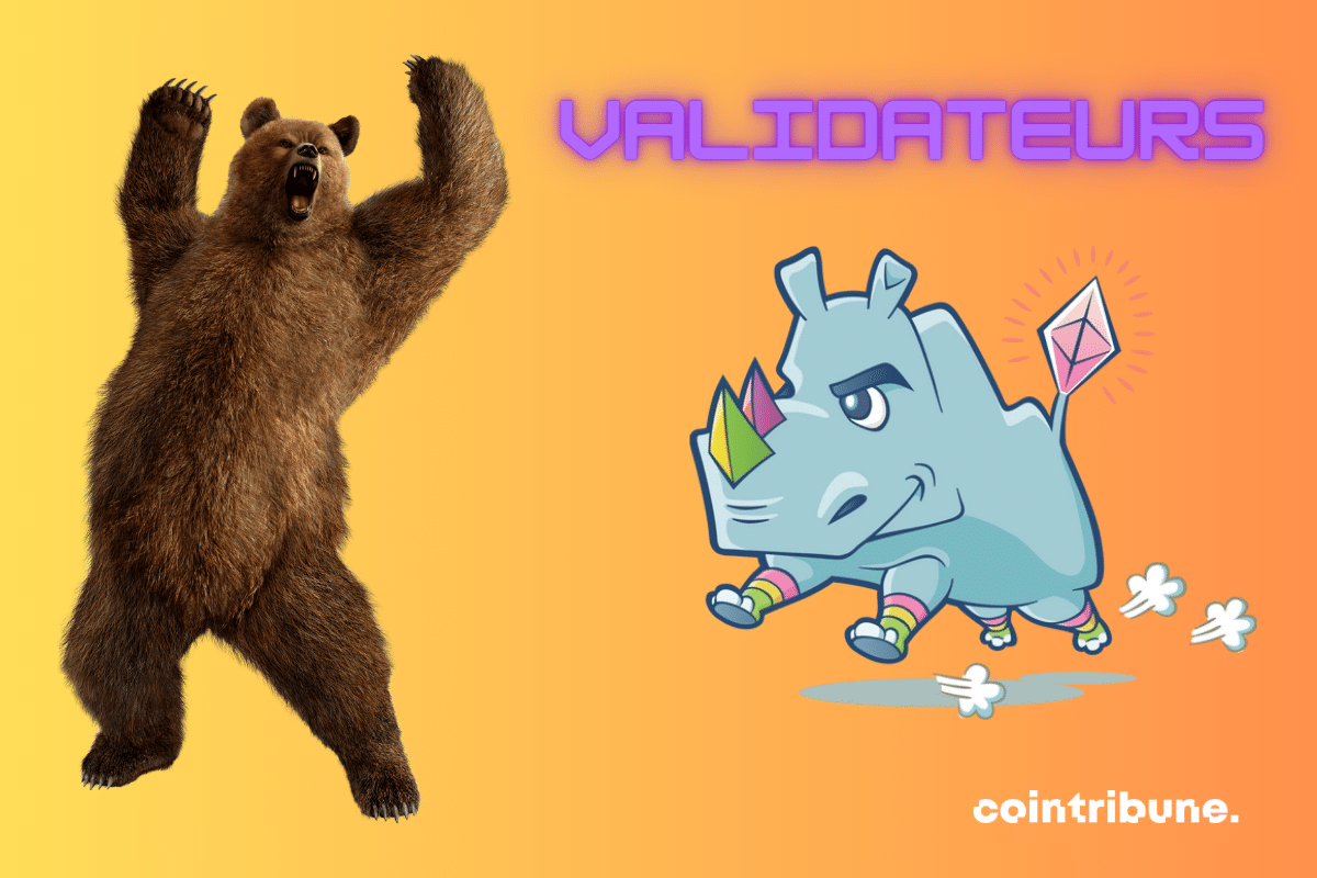 Photos d'ours et de licorne, logo d'Ethereum et mention "validateurs"